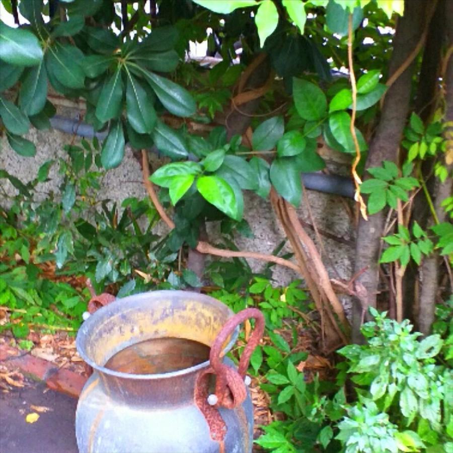 Un Giardino A Due Passi Dal Mare Apartman La Spezia Kültér fotó